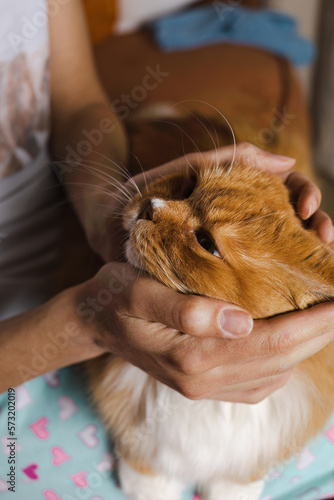 Woman holding red fluffy cat face in her arms. Girl is stroking ginger cat