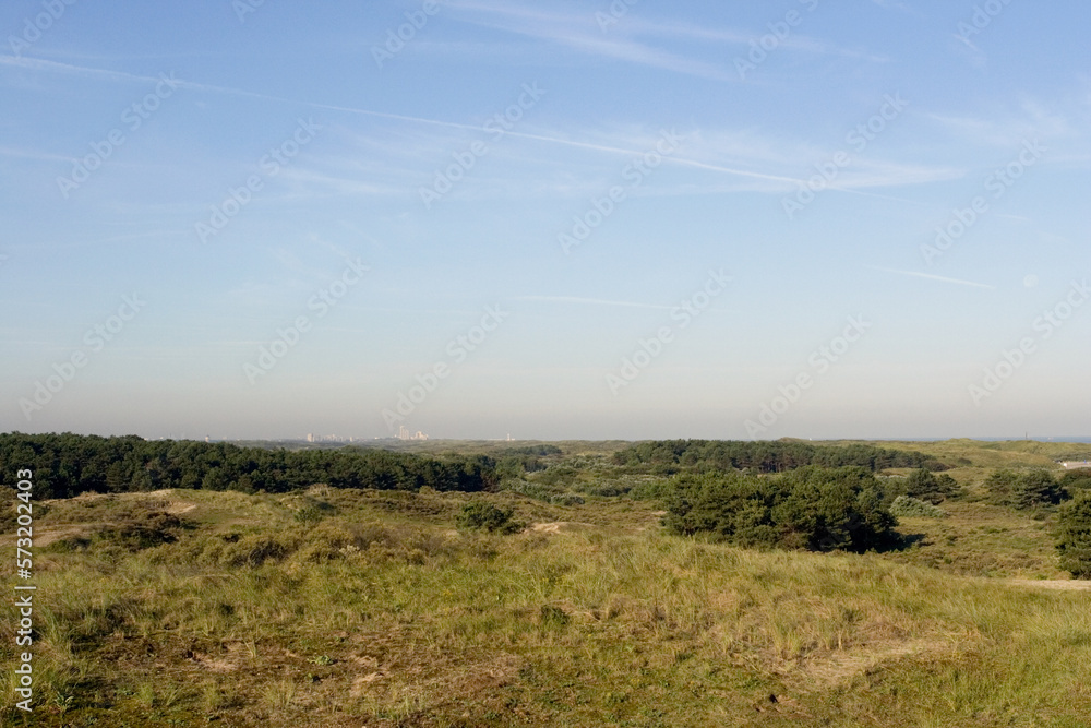 Dunes Wassenaarse Slag, duinen Wassenaarse Slag