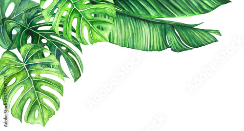Watercolor illustration banner of tropical leaves