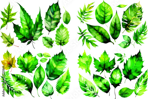 Green leaf pattern set. Plant foliage watercolor of spring leaves greenery