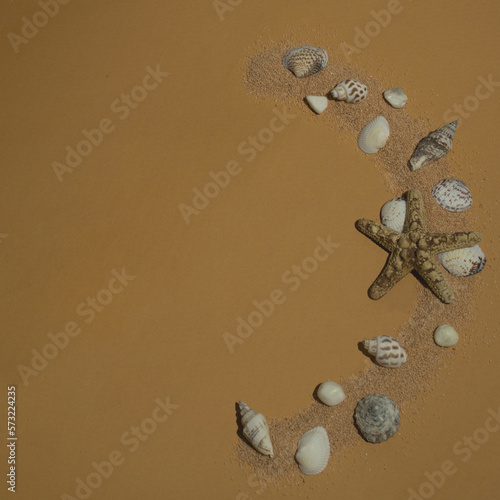 resting day on the beach the shells relax the starfish on the sunny sand photo