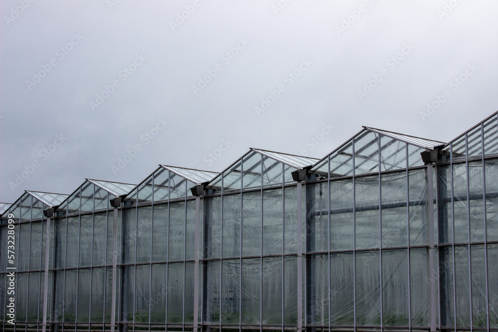 Dutch glass houses for growing plants, flowers and food on a grey day