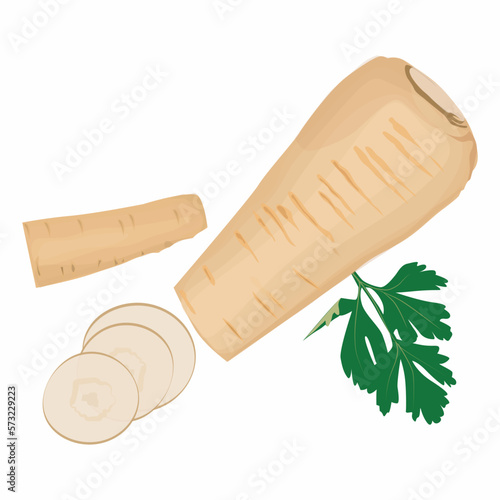 parsnip root slices parsley isolated white background top view.