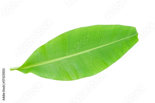 banana leaves for food wrapping