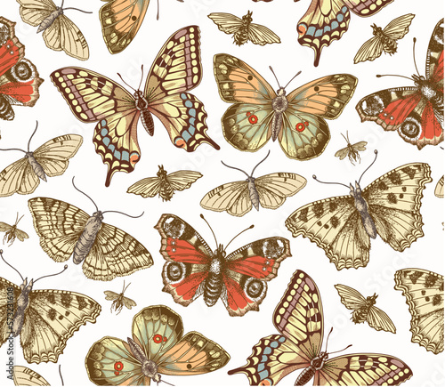 Seamless pattern. Butterfly Butterflies animals moths insect fly peacock makhaon mosquito realistic isolated. Vintage fabric background. Wallpaper. Drawing engraving. Vector victorian Illustration    