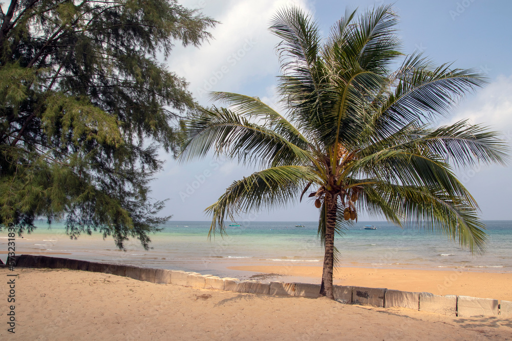 Tropical bounty beach with stones and palm trees and a blue sea on Tioman Island in the South China Sea, belonging to Malaysia. Tropical bounty beach with stones and palm trees and a blue sea on Tioman Island in the South China Sea, belonging to Malaysia.