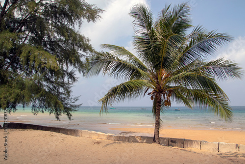 Fototapeta Naklejka Na Ścianę i Meble -  Tropical bounty  beach with stones and palm trees and a blue sea on Tioman Island in the South China Sea, belonging to Malaysia.