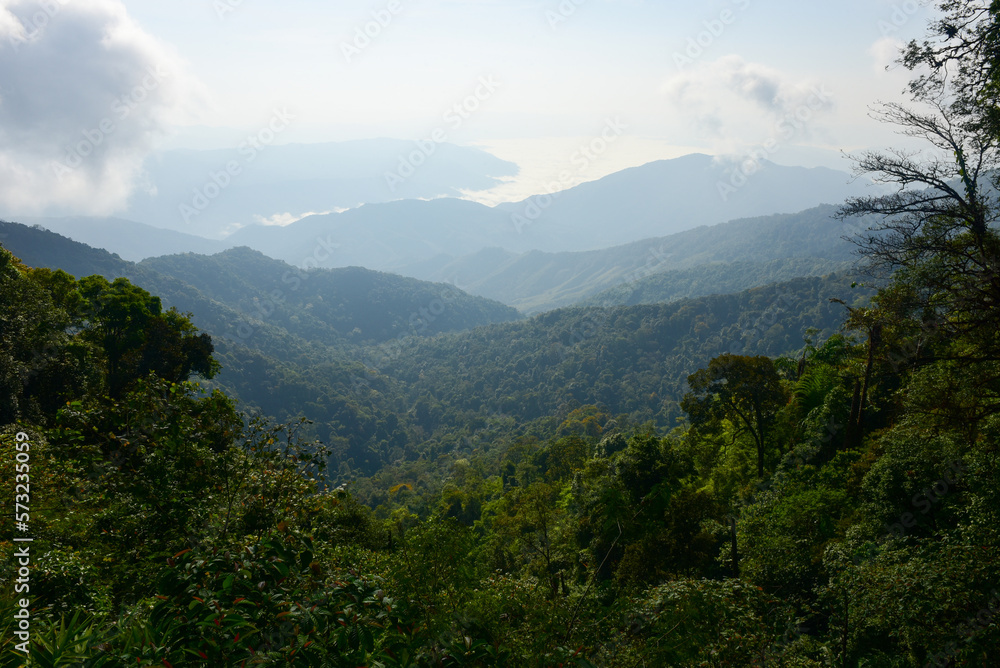 Naklejka premium Nan Thailand December 26 2022 viewpoint at Doi Phu Kha Viewpoint on 1715 road ,cool mountain,street market,otop market.