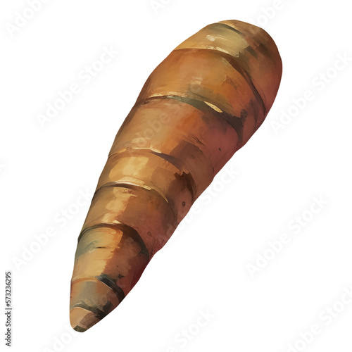 Cassava Root Isolated Detailed Hand Drawn Painting Illustration