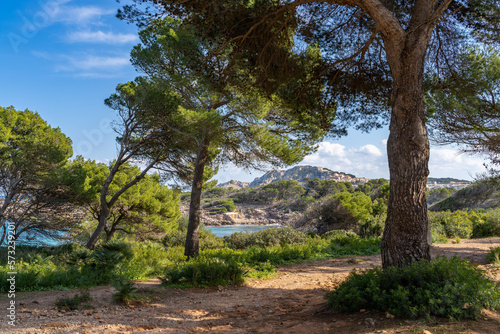 Cala Agulla ist eine Bucht der spanischen Baleareninsel Mallorca   Spanien   Espana © Harald Schindler