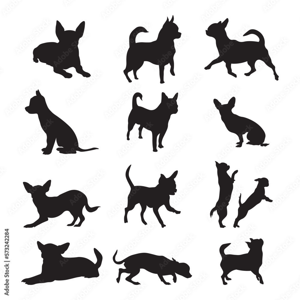 Set Chihuahua silhouette vector illustration.