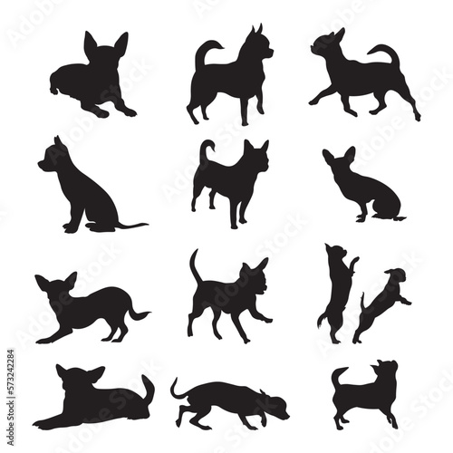 Set Chihuahua silhouette vector illustration.