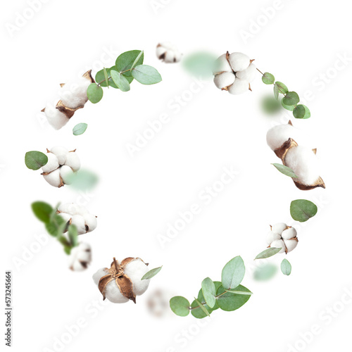 Flying cotton flowers, green twigs of eucalyptus circle shaped frame isolated on white background. With clipping path. Floral background with fluffy cotton. Flowers composition, mockup