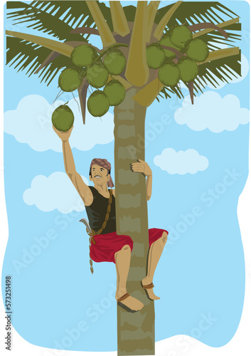 Coconut tree climber with coconut in hand - illustration drawing. Asian man in Coconut tree  
