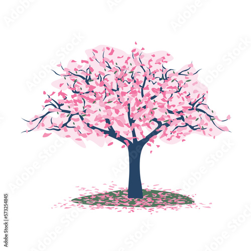 cherry blossom trees  on a field strewn with petals .vector illustration isolated on white background. Japanese style.