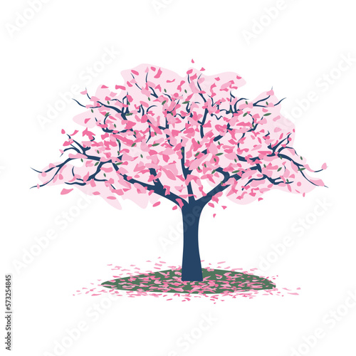 cherry blossom trees, on a field strewn with petals .vector illustration isolated on white background. Japanese style.