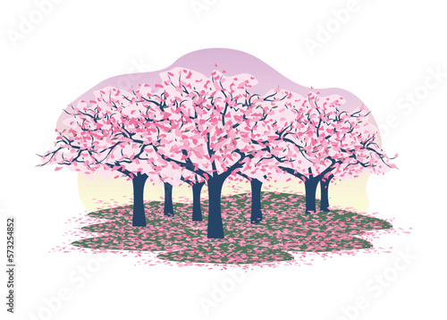 A field strewn with petals on which trees of blossoming sakura grow, soft clouds and a pink sky.vector illustration on a white background. Japanese style.