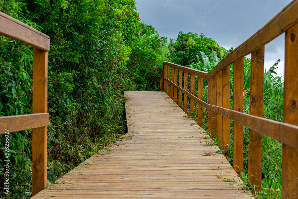 wooden walkway on the beachfront in Florianópolis wooden walkway on the beachfront in Florianópolis