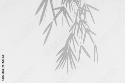 Bamboo shadow on the white wall