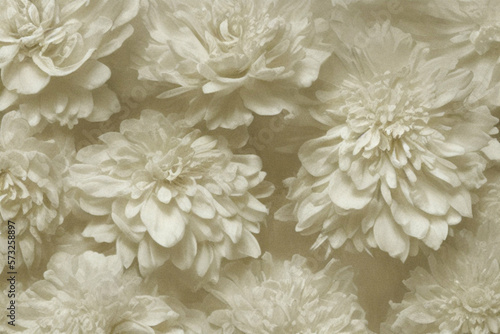 Flowers on a cream colored background in haze. Ultra detailed film photography. AI generative © hook_rv