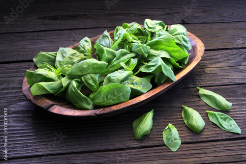 Fresh bouquet of green basil leaves in a wooden plate on an old wooden table.