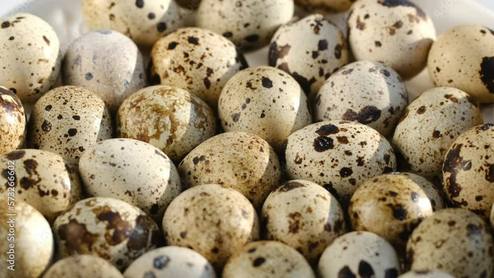 Quail egg, rotation shot, quail fresh raw eggs. Many fresh raw quail egg 4K