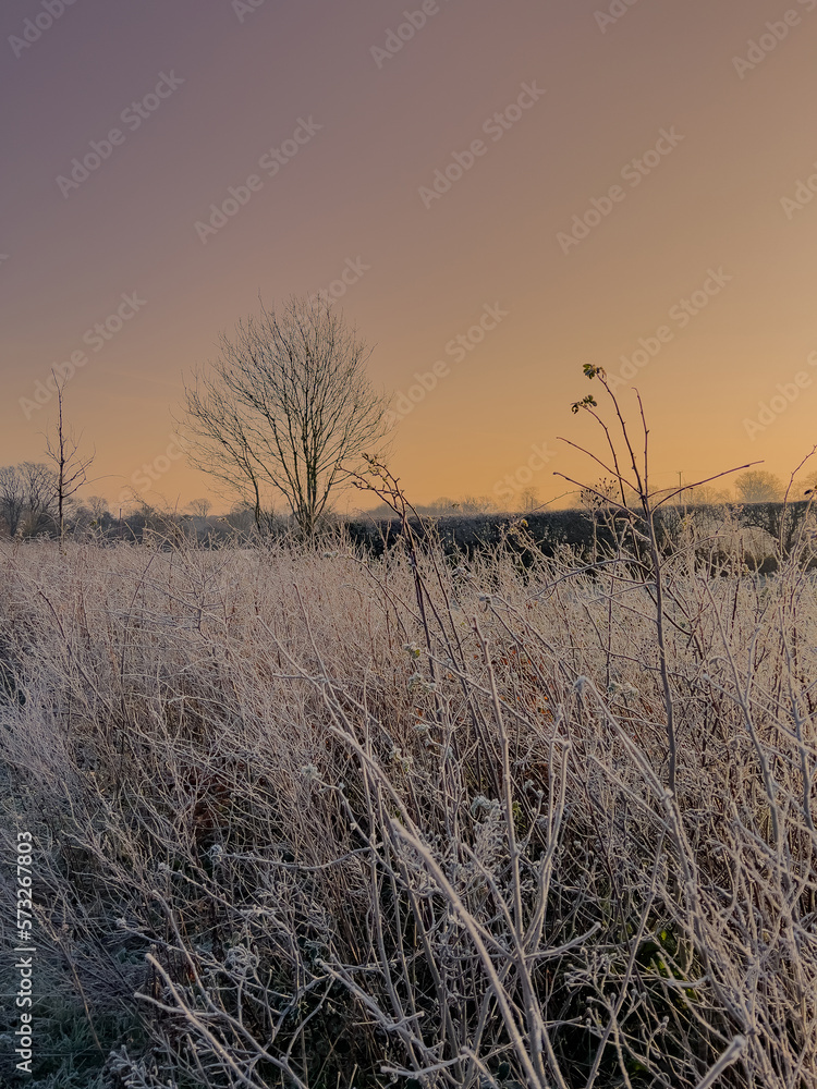 Fototapeta premium Sunrise in Winter