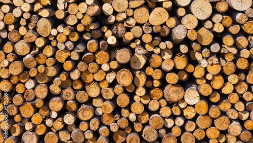 Logs as a background. Texture of natural wood. Large resolution photo for the design.