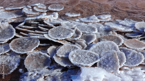 Kuyalnik estuary, Black Sea. Table salt in the form of round pancakes at the bottom and the bank of the estuary. Table salt crystals