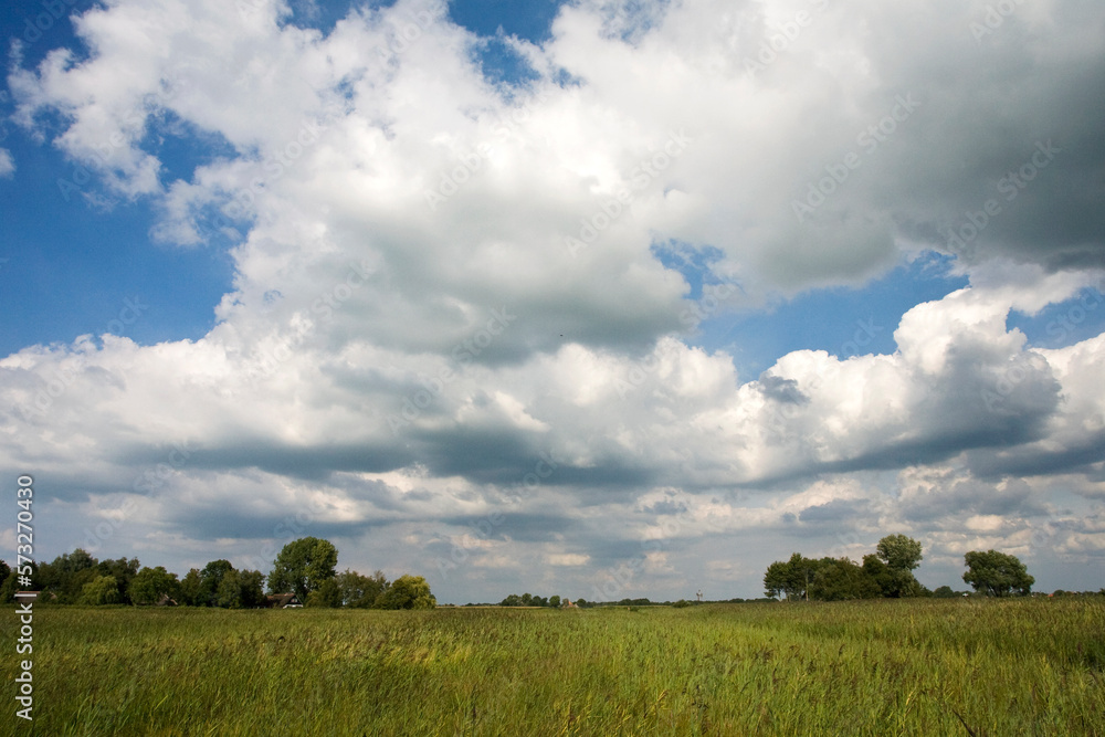 Weerribben, Overijssel, Netherlands
