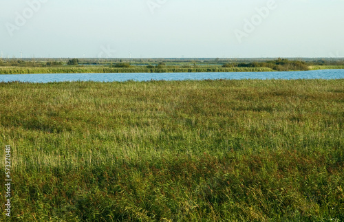 Oostvaardersplassen Flevopolder  Nederland   Netherlands