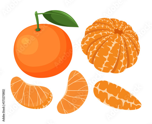 Fruit mandarin isolated on white background