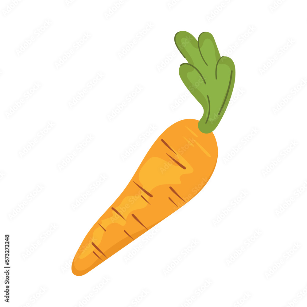 fresh carrot vegetable fresh carrot vegetable