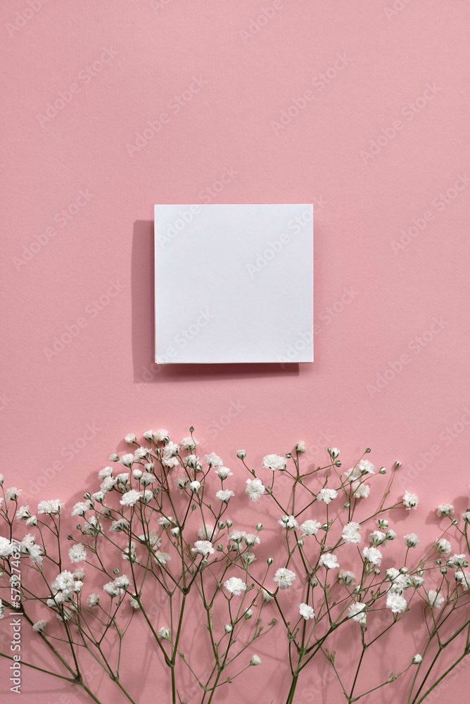Minimalist spring template with blank paper card and gypsophila flowers on pastel pink background. Mothers day or Women's day greeting card, copy space Minimalist spring template with blank paper card and gypsophila flowers on pastel pink background. Mothers day or Women's day greeting card, copy space