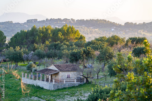 Haus  H  tte in der Landschaft von Mallorca    Spanien