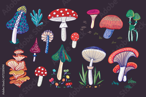 Mushrooms forest vector illustrations set.