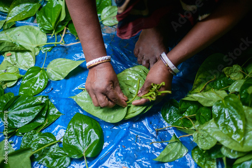 Foto village woman preparing green betel leaves for selling