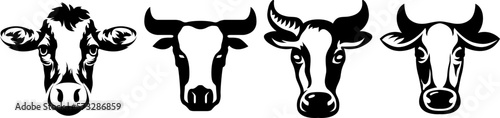 Cow head mascot variant set. Cattle logo. Farm animal illustration.
