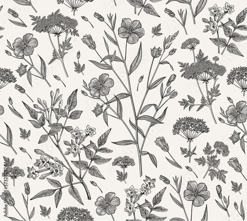 Seamless pattern Linum Flax Jasmine Hemlock tree wildflowers. Beautiful fabric blooming realistic isolated flowers Vintage background Wallpaper baroque. Drawing engraving Vector victorian illustration