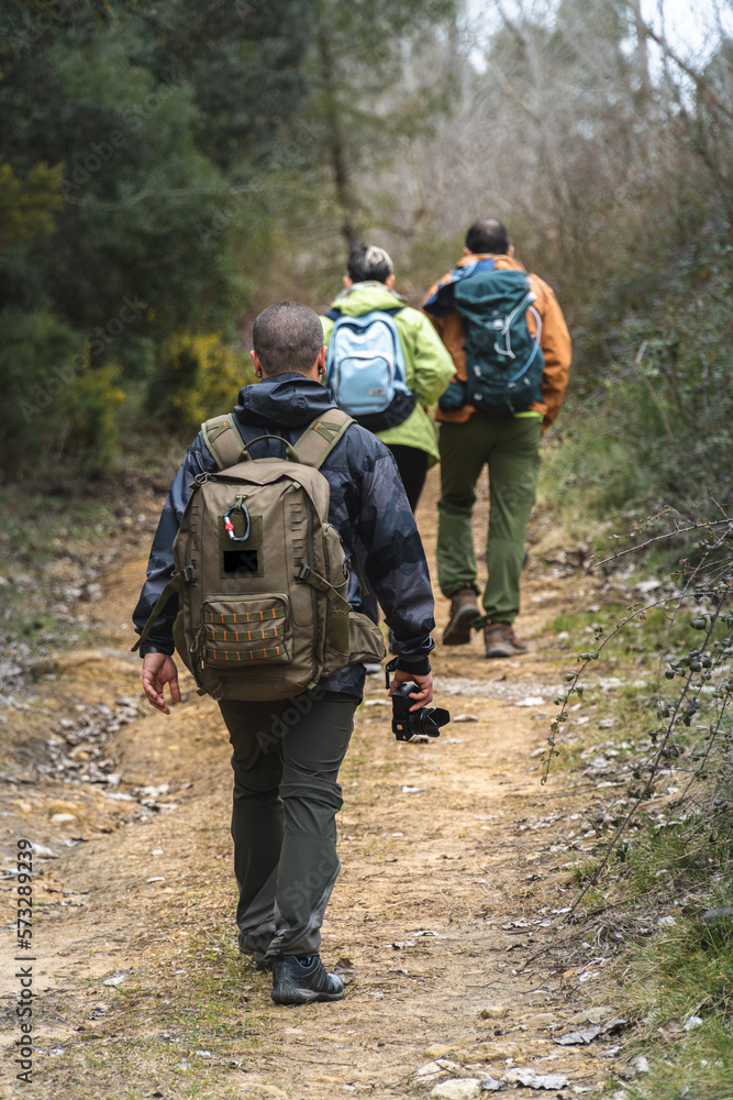 Three hikers walk through nature. Three hikers walk through nature.