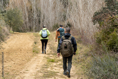 Three hikers walk through nature. 