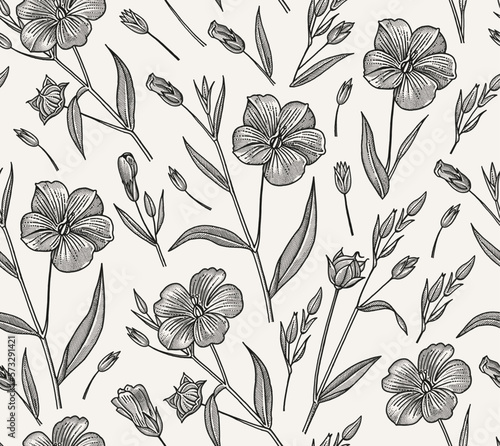 Seamless pattern Linum Flax wildflowers. Beautiful fabric blooming realistic isolated flowers Vintage background Wallpaper baroque. Drawing engraving Vector victorian illustration