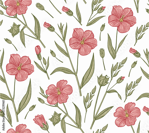 Seamless pattern Linum Flax wildflowers. Beautiful fabric blooming realistic isolated flowers Vintage background Wallpaper baroque. Drawing engraving Vector victorian illustration