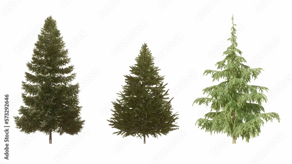 Set of 3D Pine tree isolated on white background , Use for visualization in graphic design