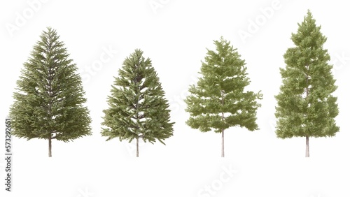 Set of 3D Pine tree isolated on white background , Use for visualization in graphic design © Monika