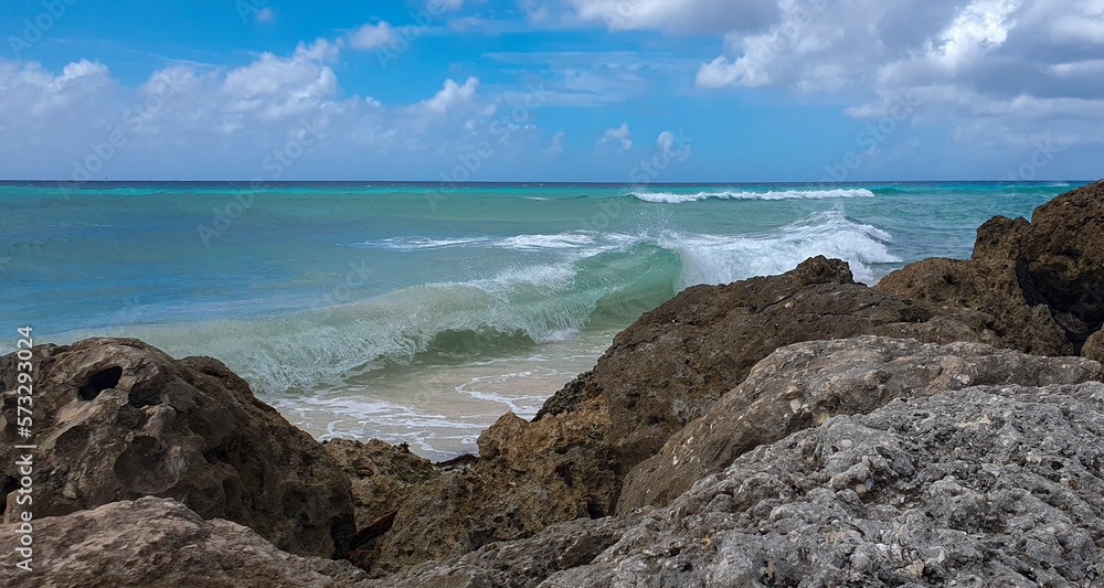 Maxwell beach Barbados, turquoise sea, white sand and palm trees Maxwell beach Barbados, turquoise sea, white sand and palm trees