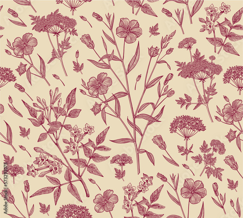 Seamless pattern Linum Flax Jasmine Hemlock tree wildflowers. Beautiful fabric blooming realistic isolated flowers Vintage background Wallpaper baroque. Drawing engraving Vector victorian illustration