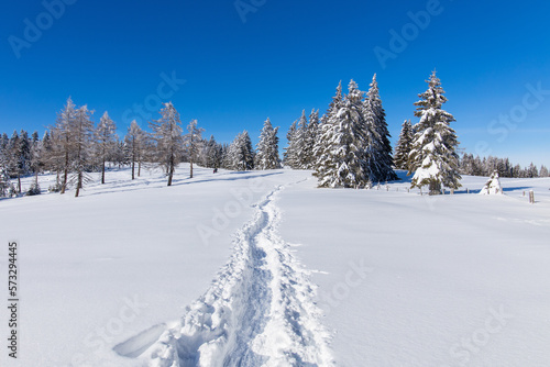 Hiking trail through snowy winter landscape for snow hiking