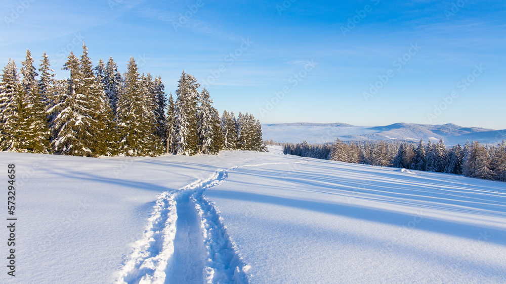 Fototapeta premium Foot steps in powder snow through a beautiful winter mountain landscape in Austria