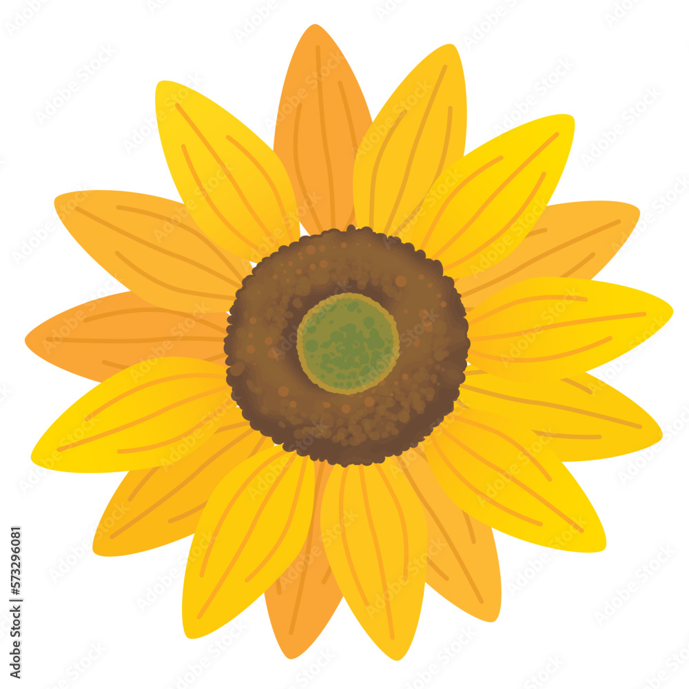 ひまわりの花のイラスト ひまわりの花のイラスト